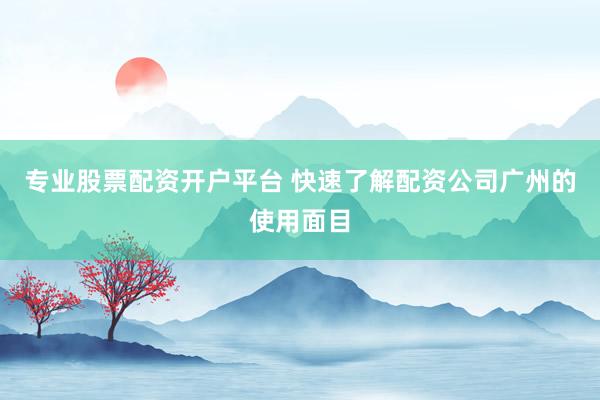 专业股票配资开户平台 快速了解配资公司广州的使用面目