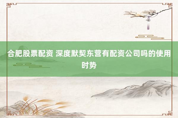 合肥股票配资 深度默契东营有配资公司吗的使用时势