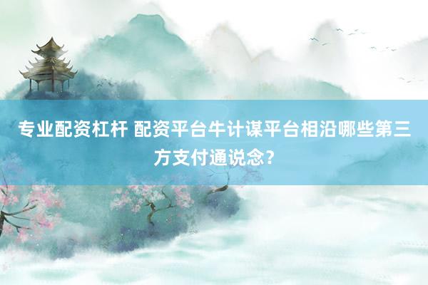 专业配资杠杆 配资平台牛计谋平台相沿哪些第三方支付通说念？