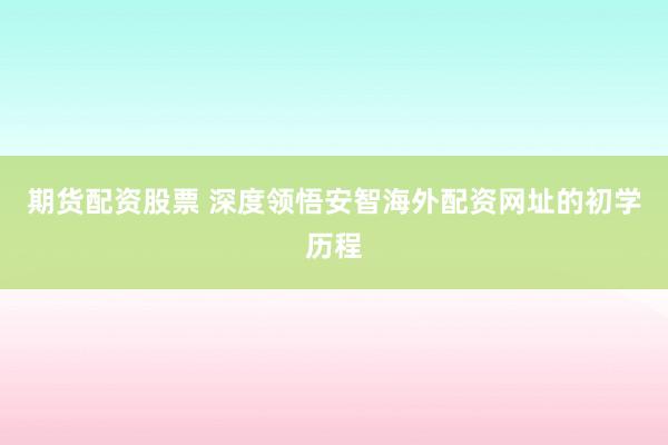 期货配资股票 深度领悟安智海外配资网址的初学历程