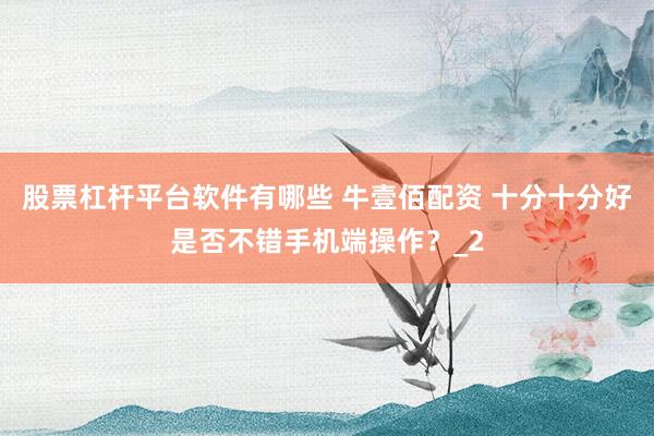 股票杠杆平台软件有哪些 牛壹佰配资 十分十分好是否不错手机端操作？_2