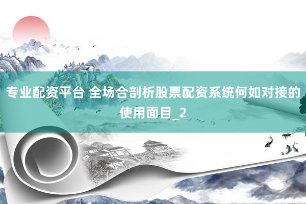 专业配资平台 全场合剖析股票配资系统何如对接的使用面目_2