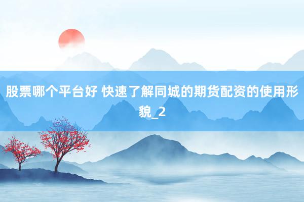 股票哪个平台好 快速了解同城的期货配资的使用形貌_2