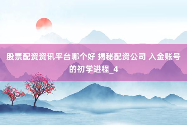 股票配资资讯平台哪个好 揭秘配资公司 入金账号的初学进程_4