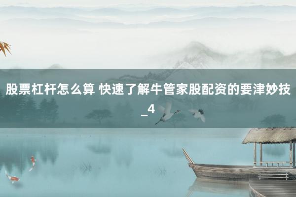 股票杠杆怎么算 快速了解牛管家股配资的要津妙技_4