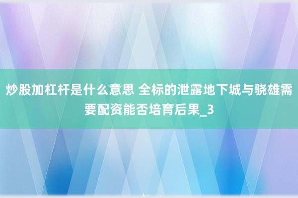 炒股加杠杆是什么意思 全标的泄露地下城与骁雄需要配资能否培育后果_3