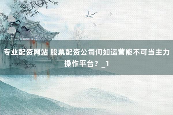 专业配资网站 股票配资公司何如运营能不可当主力操作平台？_1