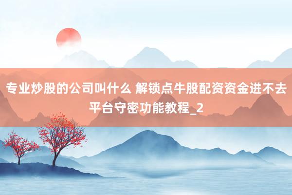 专业炒股的公司叫什么 解锁点牛股配资资金进不去平台守密功能教程_2