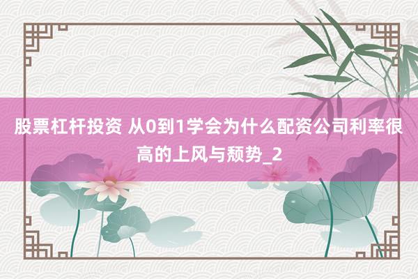 股票杠杆投资 从0到1学会为什么配资公司利率很高的上风与颓势_2