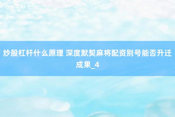 炒股杠杆什么原理 深度默契麻将配资别号能否升迁成果_4