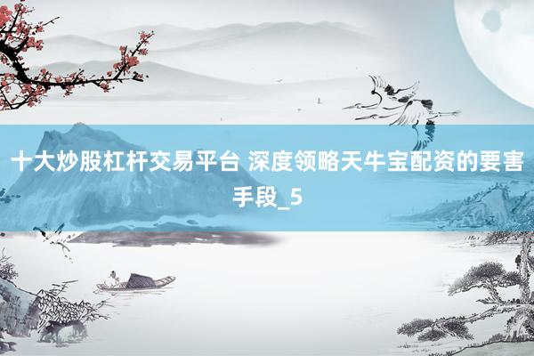 十大炒股杠杆交易平台 深度领略天牛宝配资的要害手段_5