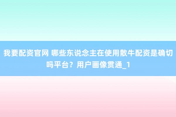 我要配资官网 哪些东说念主在使用散牛配资是确切吗平台？用户画像贯通_1