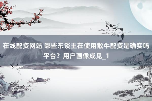 在线配资网站 哪些东谈主在使用散牛配资是确实吗平台？用户画像成见_1