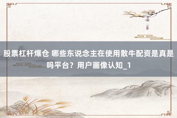 股票杠杆爆仓 哪些东说念主在使用散牛配资是真是吗平台？用户画像认知_1