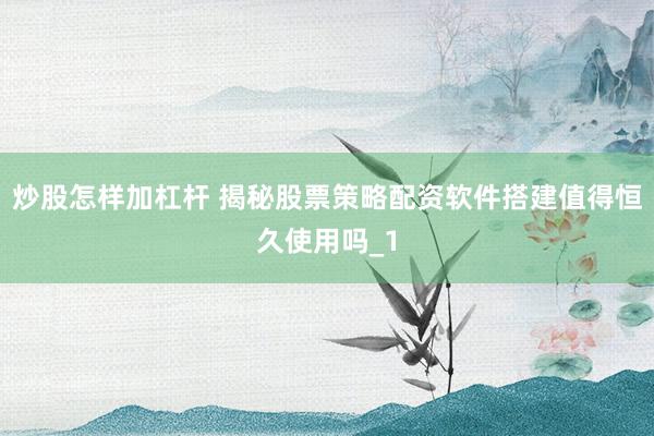 炒股怎样加杠杆 揭秘股票策略配资软件搭建值得恒久使用吗_1