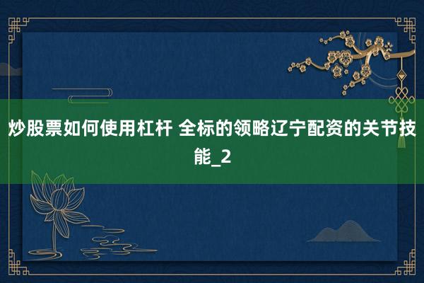炒股票如何使用杠杆 全标的领略辽宁配资的关节技能_2