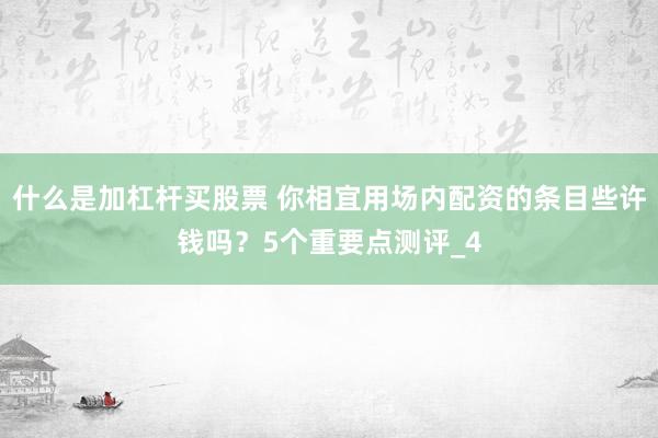 什么是加杠杆买股票 你相宜用场内配资的条目些许钱吗？5个重要点测评_4