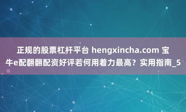 正规的股票杠杆平台 hengxincha.com 宝牛e配翻翻配资好评若何用着力最高？实用指南_5