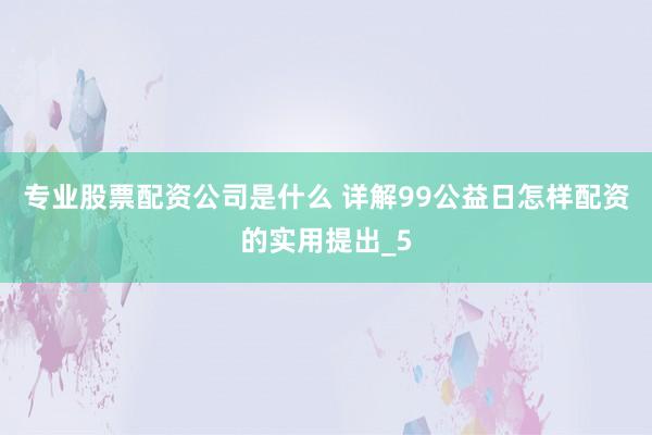 专业股票配资公司是什么 详解99公益日怎样配资的实用提出_5