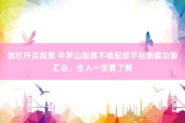 加杠杆买股票 牛罗山股票不错配资平台荫藏功能汇总，生人一定要了解