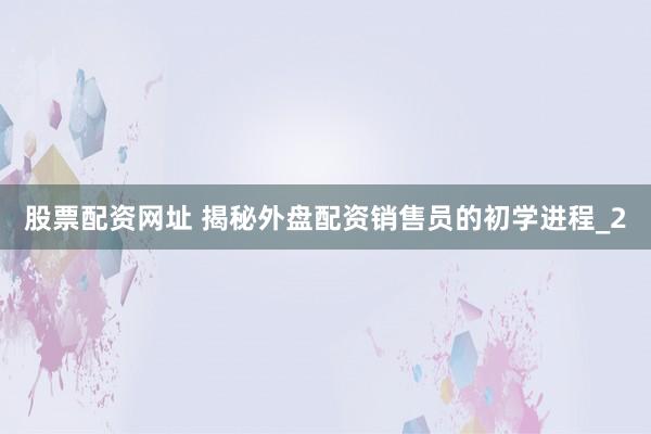 股票配资网址 揭秘外盘配资销售员的初学进程_2