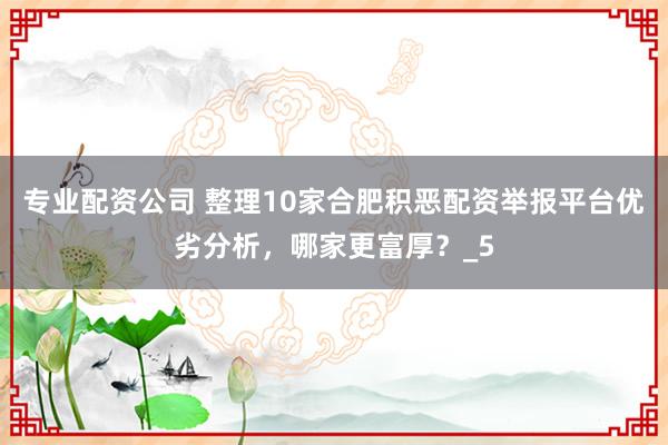 专业配资公司 整理10家合肥积恶配资举报平台优劣分析，哪家更富厚？_5