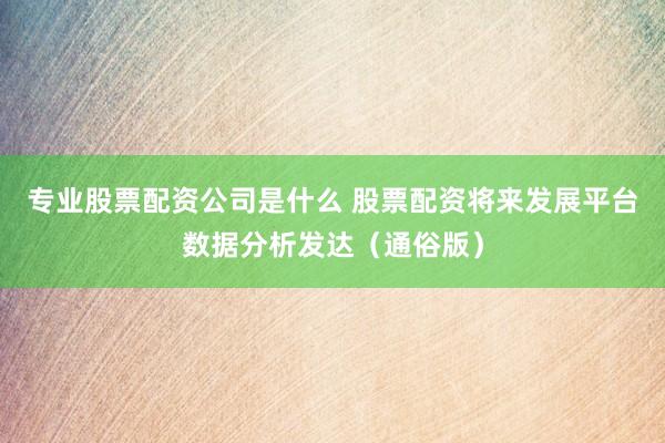 专业股票配资公司是什么 股票配资将来发展平台数据分析发达（通俗版）