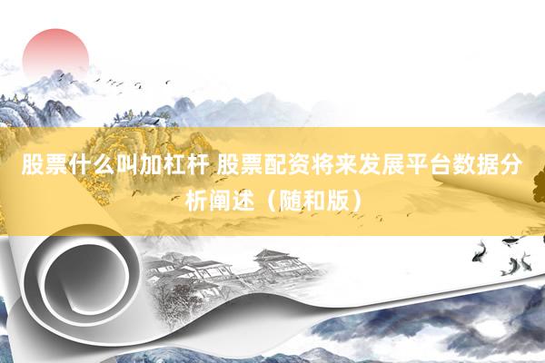 股票什么叫加杠杆 股票配资将来发展平台数据分析阐述（随和版）