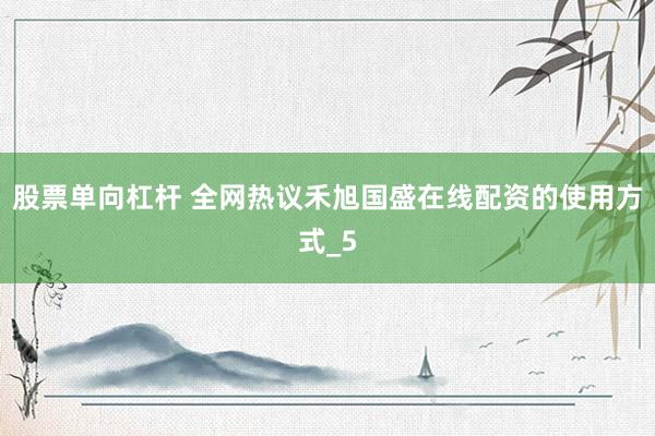 股票单向杠杆 全网热议禾旭国盛在线配资的使用方式_5